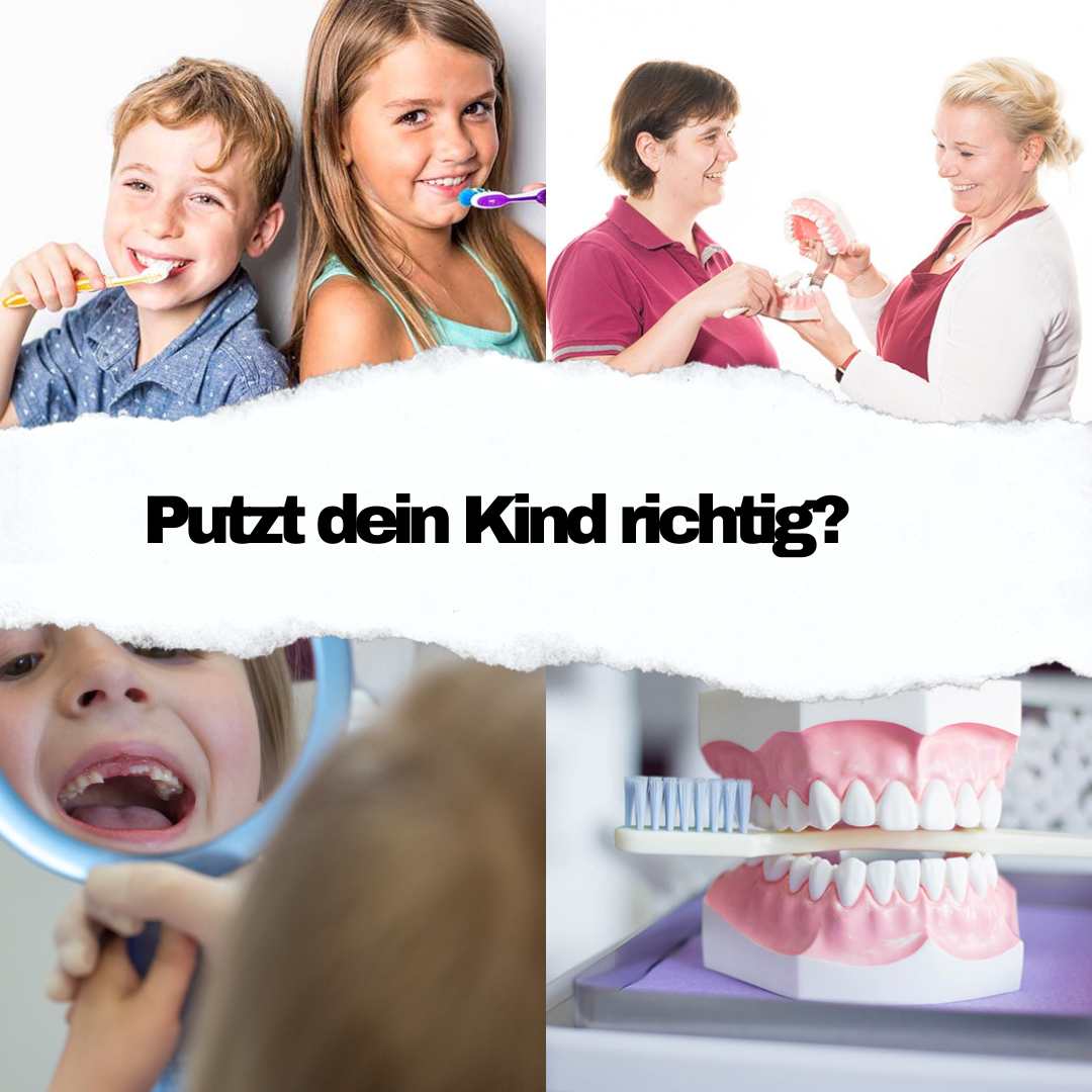 Zahnputztraining für Kinder in Meißen